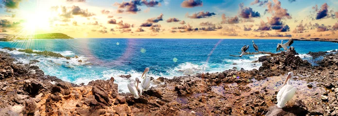 Papier Peint photo Lavable Côte Paisaje de la isla de Tenerife. Océano y costa hermosa de la playa. Naturaleza y paisajes pintorescos en Canarias. Paisaje de aventuras y viajes. Atardecer y aves