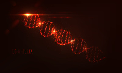 Abstract  sphere shape of  glowing circles and particles  .