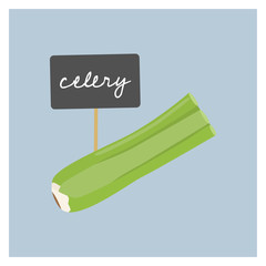 Vector Vegetable - Celery - 138705520