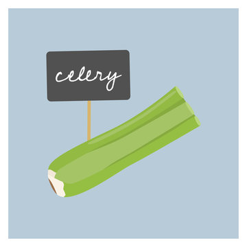 Vector Vegetable - Celery