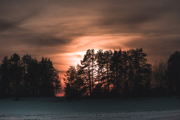 Sun setting through fog and a wall of fir trees in a snow covered countryside in Sweden