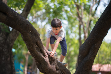 Little boy tryingto hang on the tree - 138707114