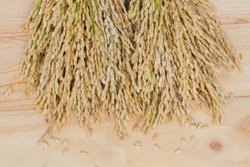 grains, ear of rice on the wooden background.