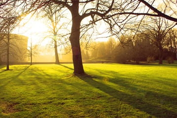 Kalmar castle park  © Malin 