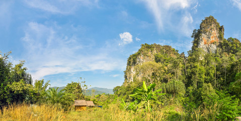 Fototapeta premium Small bamboo hut in the jungles of Thailand