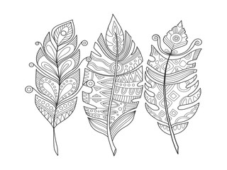 Feathers coloring book vector illustration