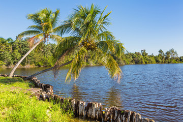 Tropical lake with palm trees in the foreground. Cuba