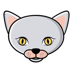 color face cat icon, vector illustraction design image