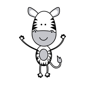color teddy zebra icon, vector illustraction design image