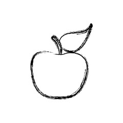 contour apple fruit icon stock, vector illustration desing