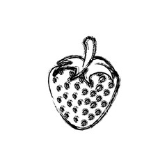 contour strawberry fruit icon stock, vector illustration design