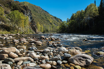 Fast mountain river in Altay