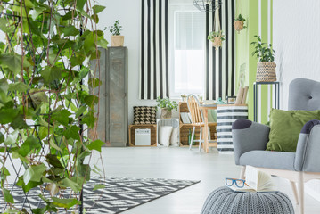 Home interior with decorative ivy