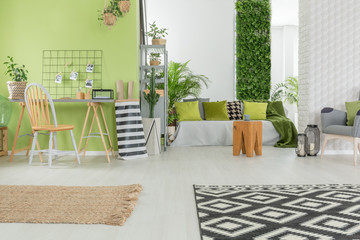 Bright apartment in green and white