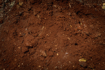 Soil, closeup and high detail.