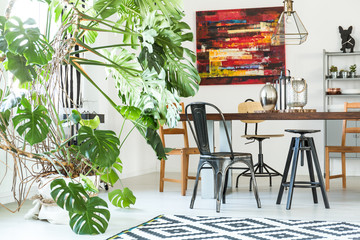 Modern dining room with monstera