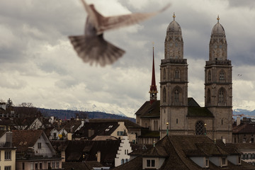 Fliegende Taube vor Züricher Kirche