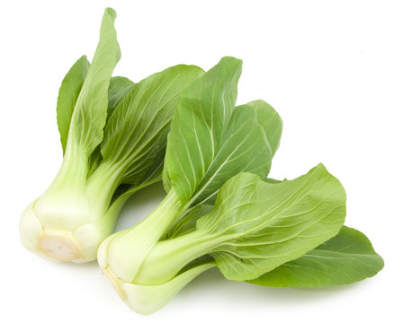 Baby Pak Choy on white
