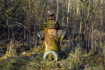 Verrosteter alter Hydrant  mitte