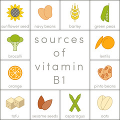 Vitamin B1 vector