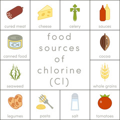 Food sources of chlorine