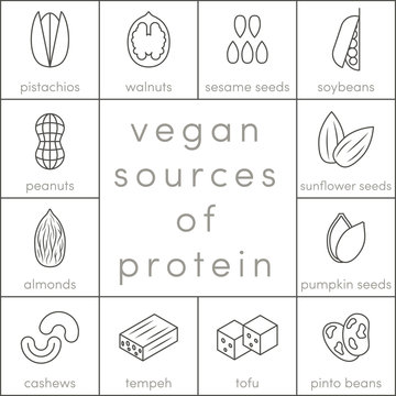 Vegan Sources Of Protein