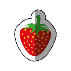 colorful strawberry fruit icon stock, vector illustration design