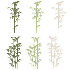 bamboo illustration