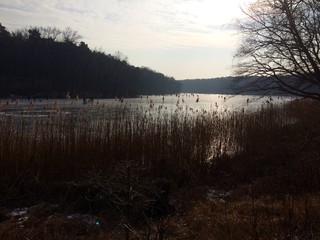 frozen lake in winter