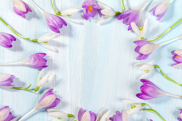 Frame of crocuses and snowdrops on the table with space for text.