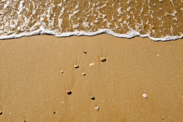 Shore in a desert beach