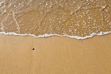 Shore in a desert beach