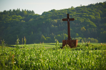 drewniany krzyż na wiosennym polu - obrazy, fototapety, plakaty