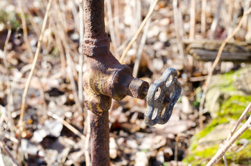valve faucet on a rusty pipe on a background of raspberry branches