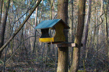 Vogelhaus im Wald