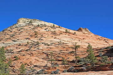 Zion National Park, Utah