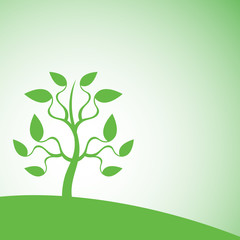 Silhouette of the abstract tree. Springtime.