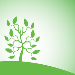 Silhouette of the abstract tree. Springtime.