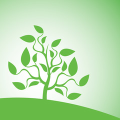 Silhouette of the abstract tree. Springtime.