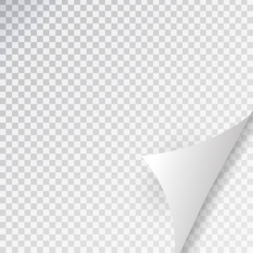 Vector white paper page curl on the transparent background.