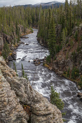 Lewis River Canyon Yellowstone N.P.