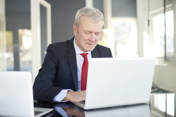 Fototapeta premium Financial businessman working online. Shot of a senior financial director sitting at desk and working on laptops in the office. 