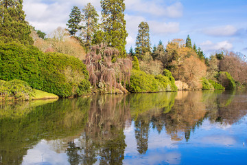 Fototapeta na wymiar Park in England, the trees reflecting in the lake, selective focus