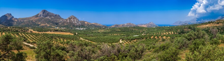 Fototapeta na wymiar Panoramic view of summer Crete Greek Island near Preveli Lagoon with olive tree plantations mountains and Libyan Sea in background