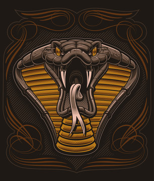 Cobra vector illustration