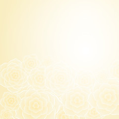 Fototapeta na wymiar Beautiful yellow rose flower background