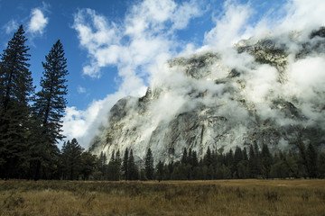 Foggy Yosemite National Park