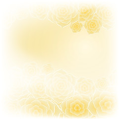 Beautiful yellow rose flower background