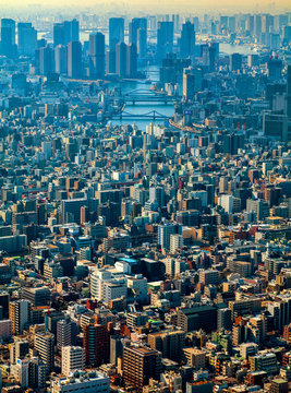 Aerial view of the Tokyo Japan Skyline