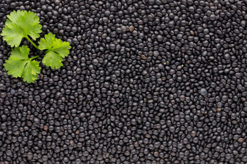 Food and cookery background of healthy dried  black lentils.
